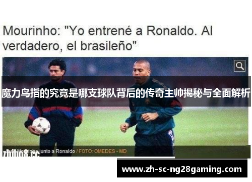 魔力鸟指的究竟是哪支球队背后的传奇主帅揭秘与全面解析