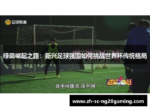 绿茵崛起之路：新兴足球强国如何挑战世界杯传统格局