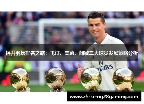 提升羽坛排名之路:飞汀、杰蔚、阀敏三大球员发展策略分析